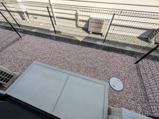 庭