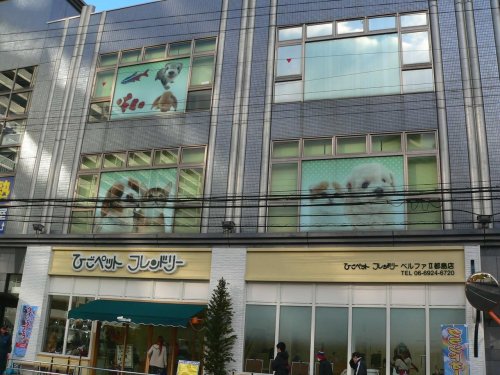 その他　ひごペットフレンドリー ベルファII都島店（その他）まで184m