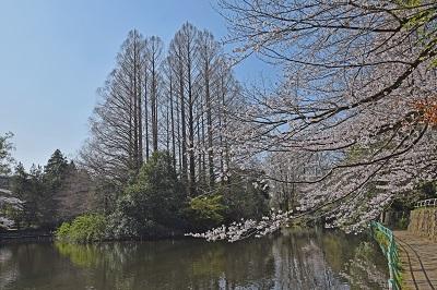 公園　武蔵関公園（公園）まで481m