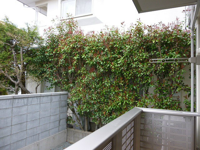 眺望　写真は103号室です（参考）