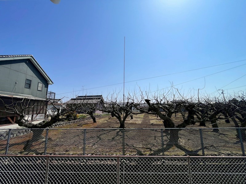 眺望　お部屋からの眺めです。