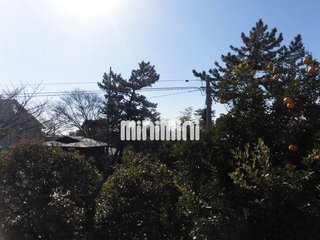 眺望　参考写真