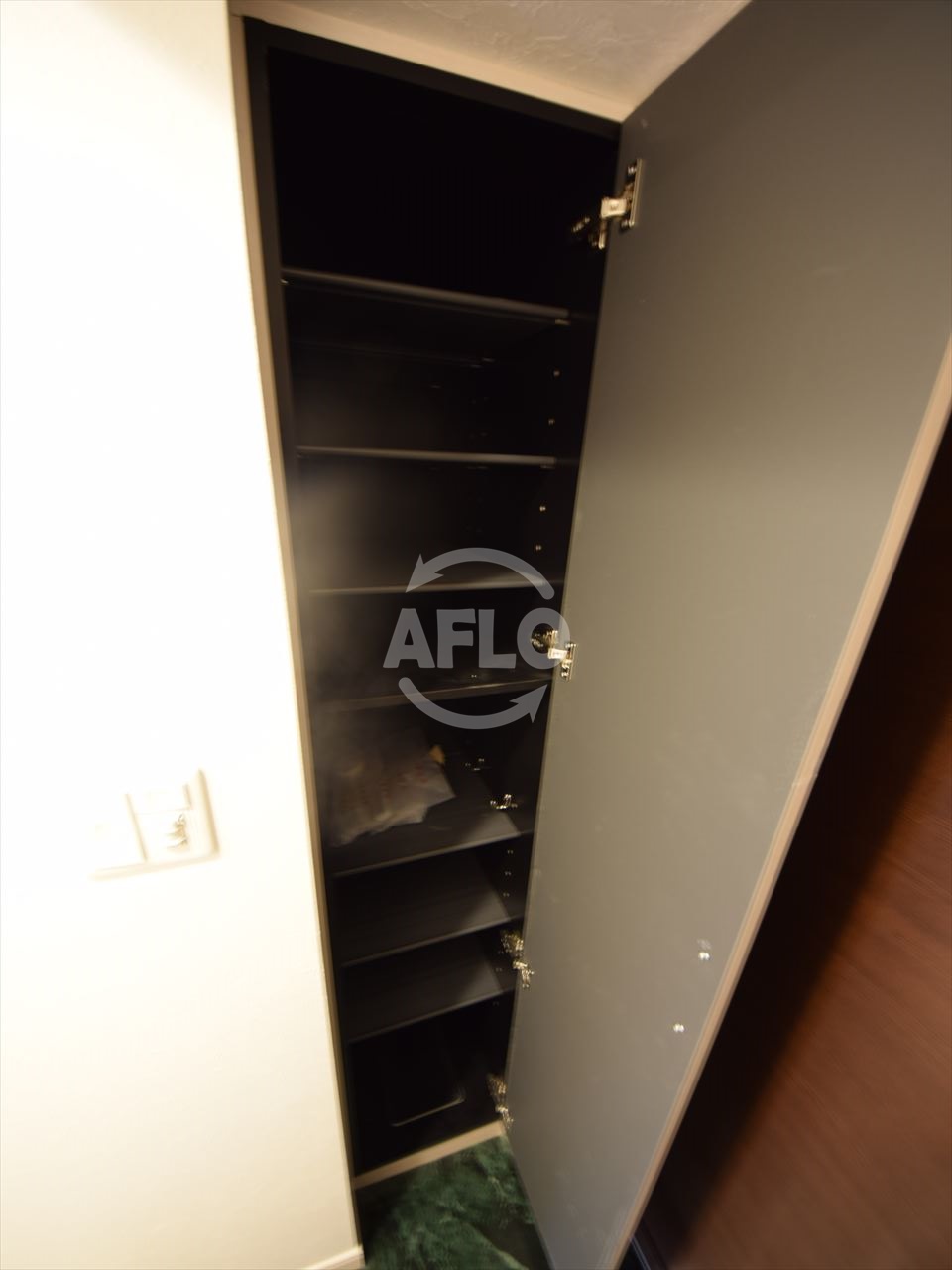 収納　スプランディッド安土町　シューズボックス