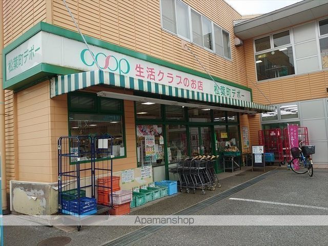 スーパー　デポー松葉町（スーパー）まで732m