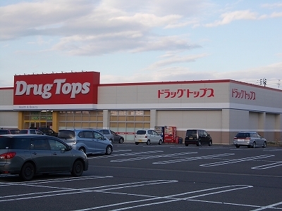 ドラックストア　ドラッグトップスかめだ三條岡店（ドラッグストア）まで1189m