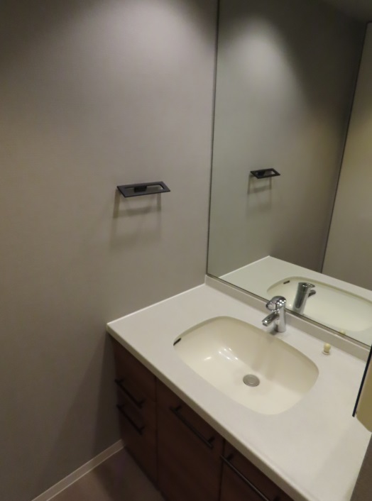 洗面設備　写真は同タイプ住居です。