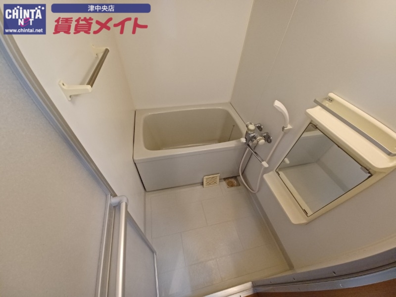 バス・シャワールーム　同じ物件、別部屋の写真です