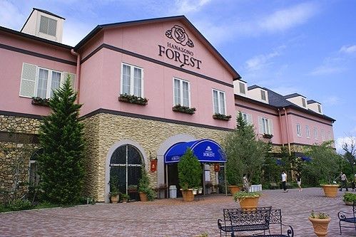 飲食店　花園フォレスト（飲食店）まで1600m