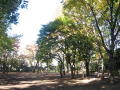公園　中央緑地公園（公園）まで365m
