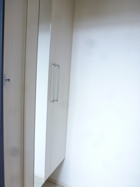 玄関　トールタイプミラー付シューズボックスです。