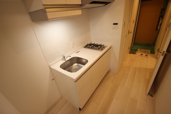 キッチン　※別号室の写真です