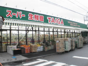 スーパー　スーパー生鮮館TAIGA川崎中原店（スーパー）まで554m