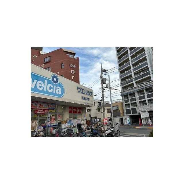 その他　ウエルシア墨田八広店（その他）まで155m