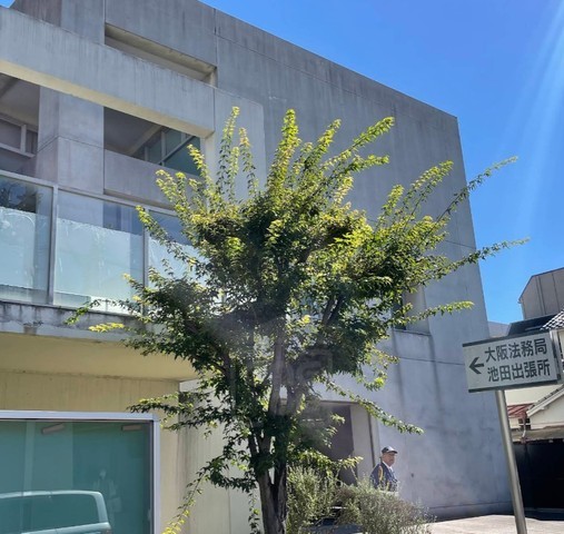 コンビニ　セブンイレブン　池田呉服町店（コンビニ）まで402m