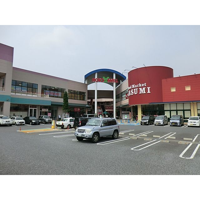 ショッピングセンター　イオンタウン守谷（ショッピングセンター）まで700m