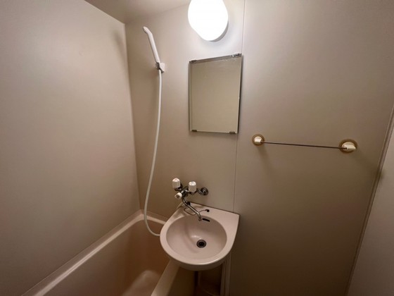 洗面設備　※別部屋の写真です