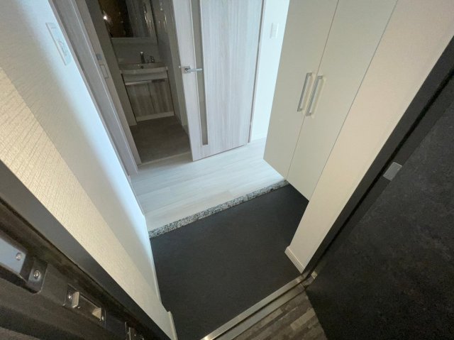 玄関　ソルテラス阿波座ウィズ　玄関