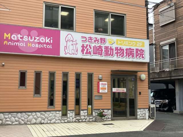 病院　つきみ野松崎動物病院（病院）まで589m
