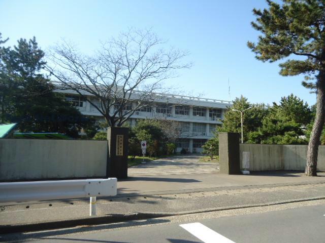 大学・短大　私立新潟青陵大学短期大学部（大学・短大）まで651m
