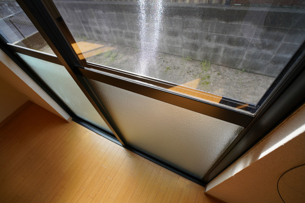 庭　１階のお部屋の画像