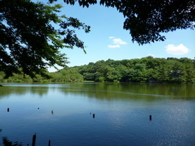 その他　石神井公園（その他）まで10m