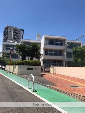 小学校　新田小学校（小学校）まで232m