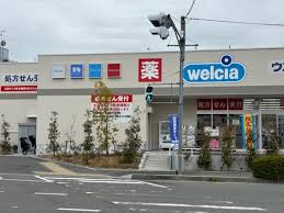 ドラックストア　ウエルシア西宮能登店（ドラッグストア）まで297m