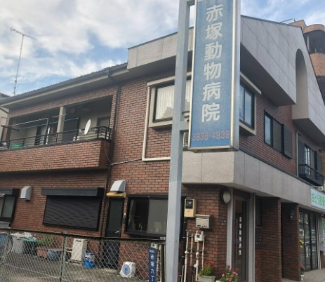 病院　赤塚動物病院（病院）まで196m