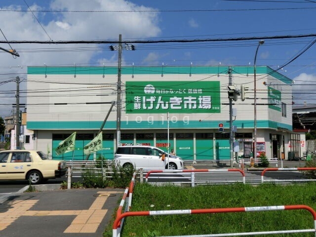 スーパー　生鮮げんき市場日吉店（スーパー）まで1255m