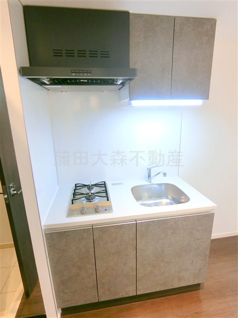 キッチン　2口ガスシステムキッチン