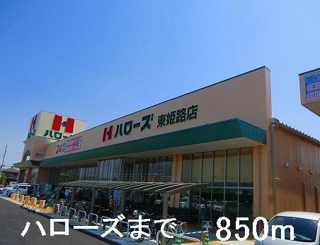 ブルーベルの周辺写真