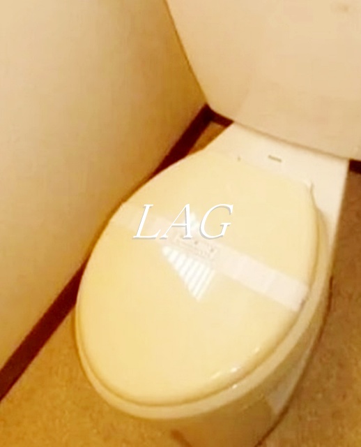 トイレ　トイレです。