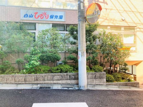 幼稚園・保育園　白山ひかり保育園（幼稚園・保育園）まで31m