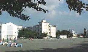 小学校　湘南台小学校（小学校）まで344m