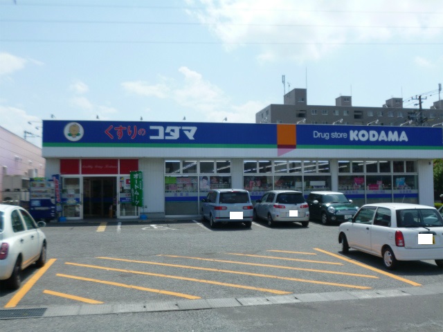 ドラックストア　クスリのコダマ南出来島店（ドラッグストア）まで1309m