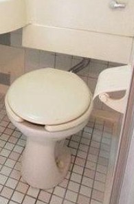 トイレ　トイレです