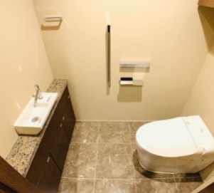 Brillia Towers目黒サウスレジデンス ブリリアタワーズ目黒のトイレ写真