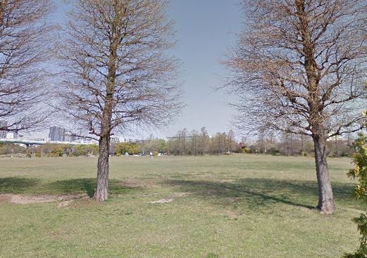 公園　辰巳の森海浜公園 多目的広場（公園）まで338m