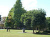 公園　明保野公園（公園）まで2901m