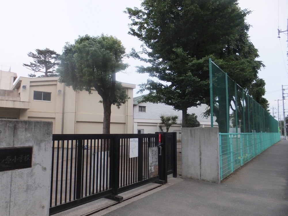 小学校　調布市立 上ノ原小学校（小学校）まで1130m