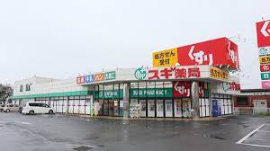 ドラックストア　スギ薬局衣川店（ドラッグストア）まで537m