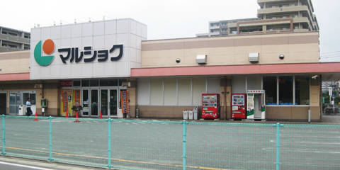 スーパー　マルショク吉塚駅東店（スーパー）まで522m