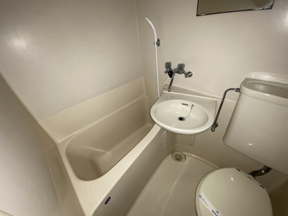 バス・シャワールーム　※別部屋の写真です