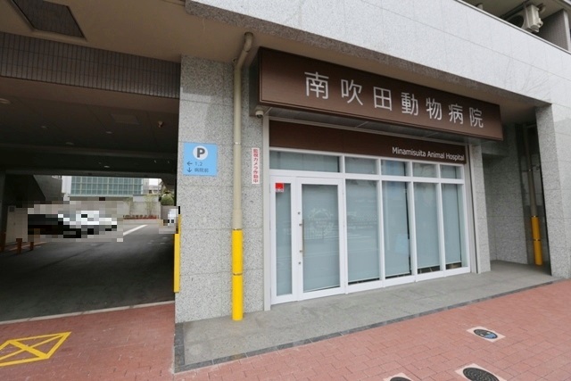 病院　南吹田動物病院（病院）まで478m