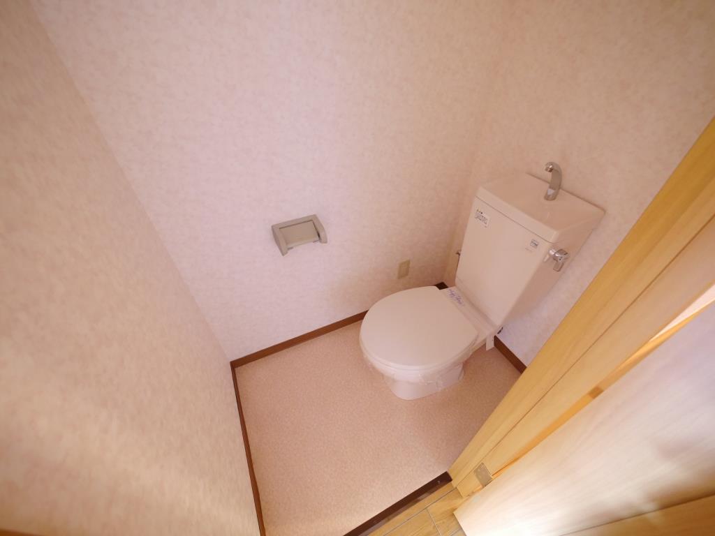 グレイスメゾンIIのトイレ写真