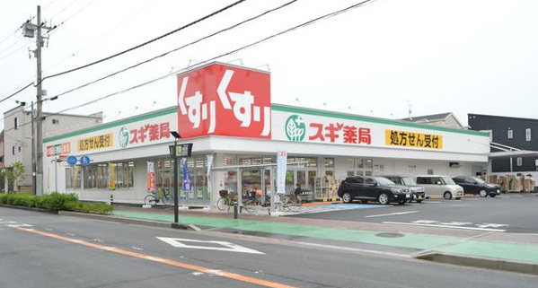 ドラックストア　スギ薬局 泉大津東雲店（ドラッグストア）まで1312m