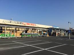 ホームセンター　コーナンPRO泉大津店（ホームセンター）まで721m