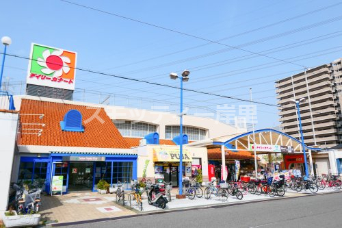 スーパー　デイリーカナート住之江店（スーパー）まで392m