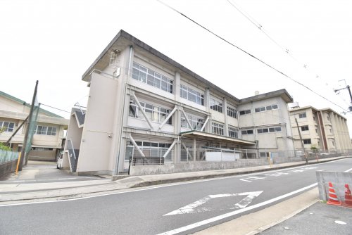 中学校　勝山中学校（中学校）まで984m