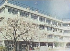小学校　板橋区立紅梅小学校（小学校）まで554m
